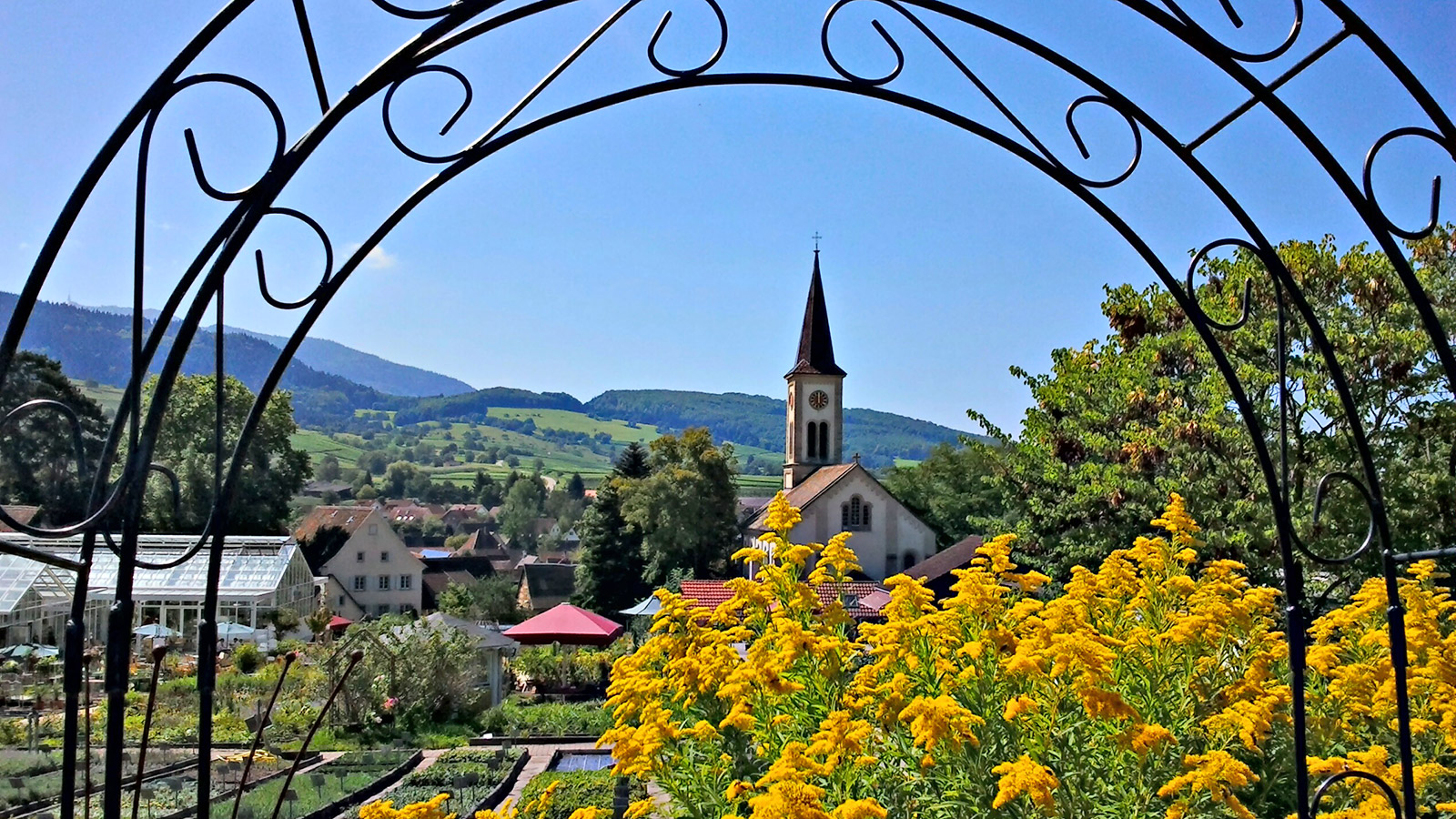 Ausblick in die Rheinebene