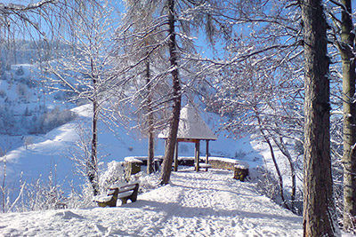 Winter im Münstertal